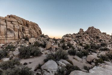 USA, Kalifornien, Los Angeles, Sonnenaufgang im Joshua Tree National Park - DAWF00844