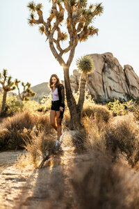 USA, California, Los Angeles, woman walking in Joshua Tree National Park in backlight - DAWF00852