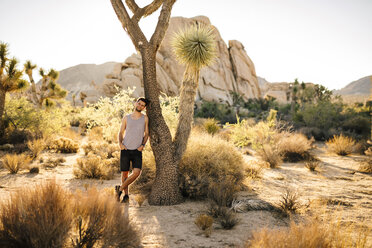 USA, Kalifornien, Los Angeles, lächelnder Mann lehnt an Joshua Tree im Joshua Tree National Park - DAWF00855