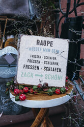 Schild mit lustigem Text, Eine Raupe muss man sein - IPF00493