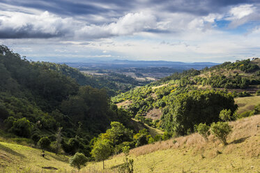 Australien, New South Wales, Weinanbaugebiet Hunter Valley - RUNF00423