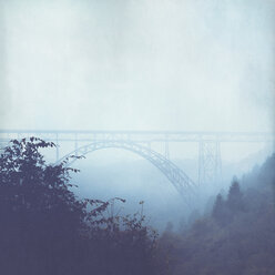 Brücke und Nebel im Herbst - DWIF00959