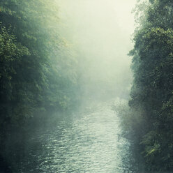 Wupper und Nebel - DWIF00962