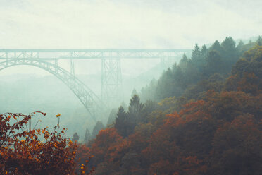 Brücke und Nebel im Herbst - DWIF00963