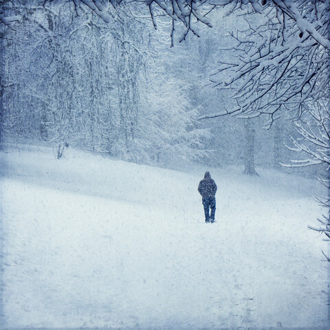 Wald im Winter bei Wuppertal, Mann bei Schneefall, lizenzfreies Stockfoto