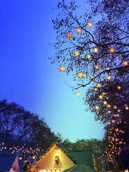 Germany, Cologne, Fairy lights at a Christmas Market - GWF05718