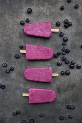 Row of four blueberry popsicles - LVF07608