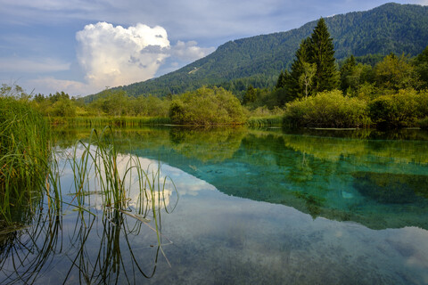 Slowenien, Gorenjska, bei Ratece, Sava Dolinka, Quelle, Zelenci-See, lizenzfreies Stockfoto