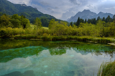 Slowenien, Gorenjska, bei Ratece, Sava Dolinka, Quelle, Zelenci-See - LBF02309