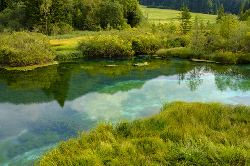 Slowenien, Gorenjska, bei Ratece, Sava Dolinka, Quelle, Zelenci-See - LBF02311