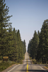 Straße durch den Wald, Shasta, Kalifornien, USA - AURF07957