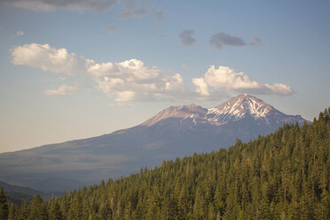 Wald und Berggipfel, Shasta, Kalifornien, USA - AURF07959