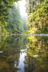 Biologe bei der Untersuchung eines Baches, Maple Ridge, British Columbia, Kanada - AURF07965