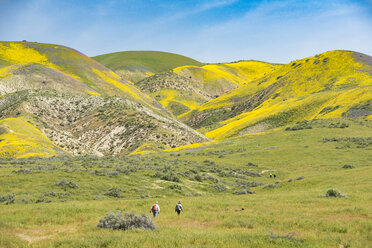 Wanderer im Carrizo Plain National Monument, Kalifornien, USA - AURF07972