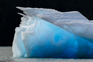 Eisberg in der Le Conte Bay, Alaska, USA - AURF07983