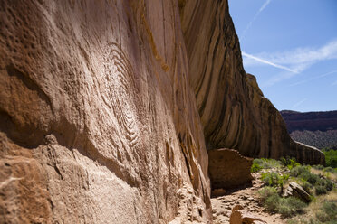 Petroglyphe an einer Felswand, Arch Canyon, Utah, USA - AURF08045