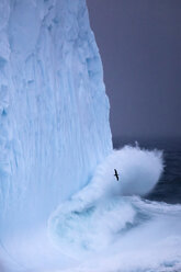 Iceberg in sea, Westfjords, Iceland - AURF08060