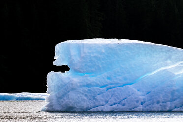 Eisberg in der Le Conte Bay, Alaska, USA - AURF08063