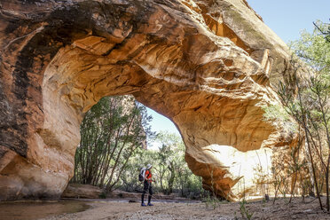 Natural bridge in Grand Staircase-Escalante National Monument, Utah, USA - AURF08072