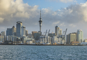 New Zealand, Auckland, - RUNF00460
