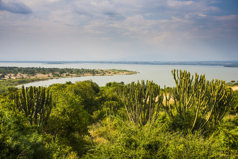 Africa, Uganda, Kazinga channel linking lake george and lake Edward, Queen Elizabeth National Park - RUNF00507