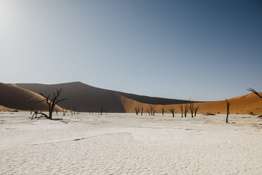 Namibia, Namib-Wüste, Namib-Naukluft-Nationalpark, Sossusvlei, Deadvlei und Big Daddy Dune - LHPF00246