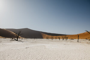 Namibia, Namib-Wüste, Namib-Naukluft-Nationalpark, Sossusvlei, Deadvlei und Big Daddy Dune - LHPF00246