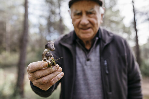 Senior man showing found mushrooms - JRFF02240