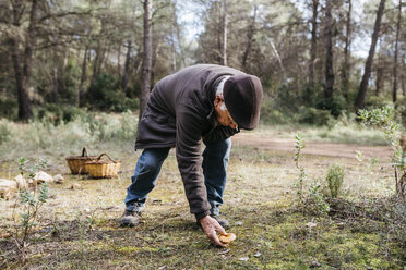 Älterer Mann findet Pilz im Wald - JRFF02246