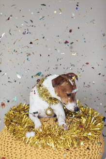 Hund mit goldener Girlande und Weihnachtskugel - JPF00331