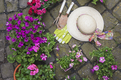 Verschiedene getopfte Frühlings- und Sommerblumen, Strohhut, Gartengeräte und Handschuhe auf Kopfsteinpflaster - GWF05736