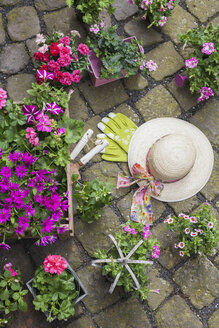 Verschiedene getopfte Frühlings- und Sommerblumen, Strohhut, Gartengeräte und Handschuhe auf Kopfsteinpflaster - GWF05737