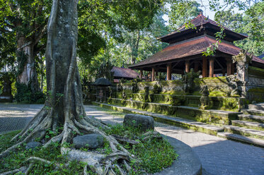 Indonesien, Bali, Ubud Affenwald, Hindu-Tempel - RUNF00568