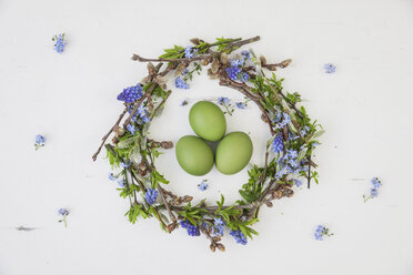 Self-made Easter wreath and green dyed eggs on white ground - GWF05747