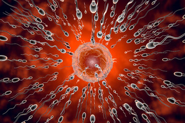 3D Rendered Illustration, visualisation of sperm cells racing to a egg to fertilise - SPCF00299