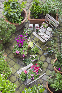 Various potted spring and summer plants ready for planting in a garden, bird's eye view - GWF05750