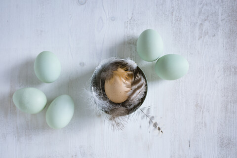 Stilleben mit Eiern und Federn, lizenzfreies Stockfoto