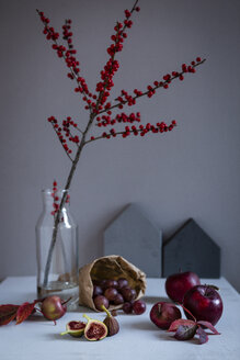 Stechpalmenzweig in Vase, rote Früchte und Herbstlaub - OJF00334