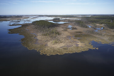 USA, Maryland, Cambridge, High tide flooding from rising sea levels at Blackwater National Wildlife Refuge - BCDF00368