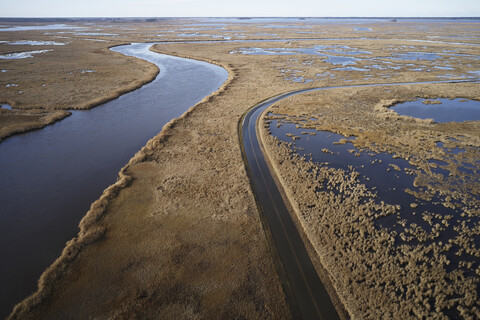 USA, Maryland, Cambridge, Überschwemmungen durch den steigenden Meeresspiegel im Blackwater National Wildlife Refuge, lizenzfreies Stockfoto