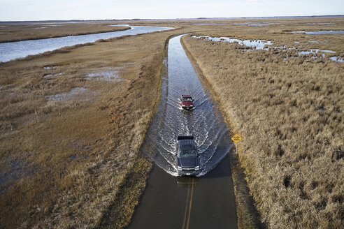 USA, Maryland, Cambridge, Überschwemmungen durch den steigenden Meeresspiegel im Blackwater National Wildlife Refuge - BCDF00372