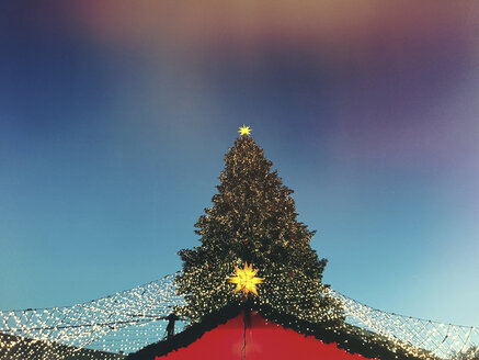 Deutschland, Köln, Weihnachtsbaum und Weihnachtsmarkt auf dem Roncalliplatz neben dem Kölner Dom - GWF05753
