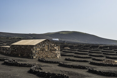 Spanien, Kanarische Inseln, Lanzarote, La Geria, Blick auf das Weinanbaugebiet - RUNF00594