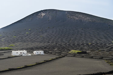 Spain, Canary Islands, Lanzarote, La Geria, view to wine-growing district - RUNF00595