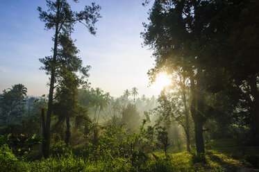 Indonesien, Java, Blick vom Borobudur-Tempelkomplex auf die Landschaft am frühen Morgen - RUNF00605