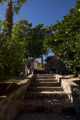 Morocco, Lalla Takerkoust, orange trees in garden - LMJF00080