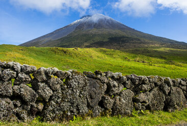 Portugal, Azoren, Insel Pico, Ponta do Pico - RUNF00634