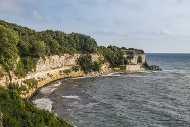 Dänemark, Seeland, Stevns Klint, weiße Kreidefelsen - RUNF00644