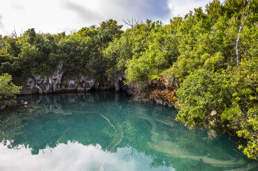 Bermuda, Sinkhole im Blue Hole Park - RUNF00649