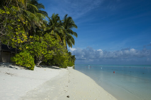 Maledives, Ari Atoll, Nalaguraidhoo, Sun Island, beach and vegetation - RUNF00722